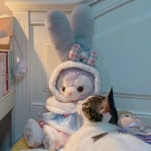 Meet your Posher, Ann